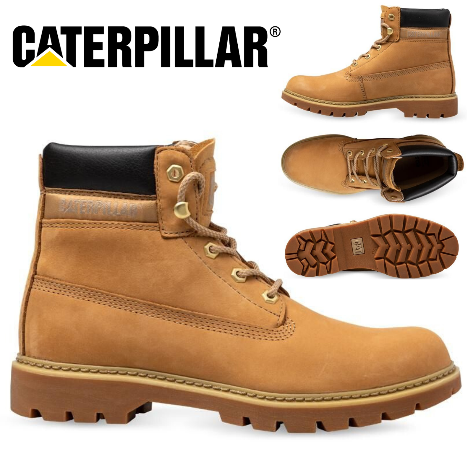 cat footwear lyric