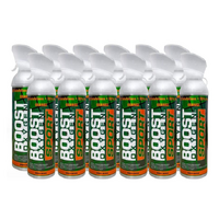 24x 10 Litres of Boost Sport Oxygen in a Can Supplemental - 200 Breath (Large)