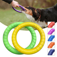 Medium 20cm Lightweight Dog Toy Chew Durable Floating Training Ring for Chewers Pet