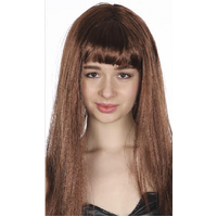 LONG WIG Straight Party Hair Costume Fringe Cosplay Fancy Dress 70cm Womens - Brown (22465)