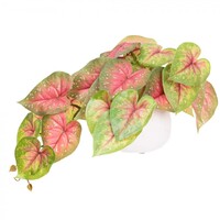 46cm Potted Faux Caladium Bush in Pot Artificial Flower Plant Green Decor in Red/Green