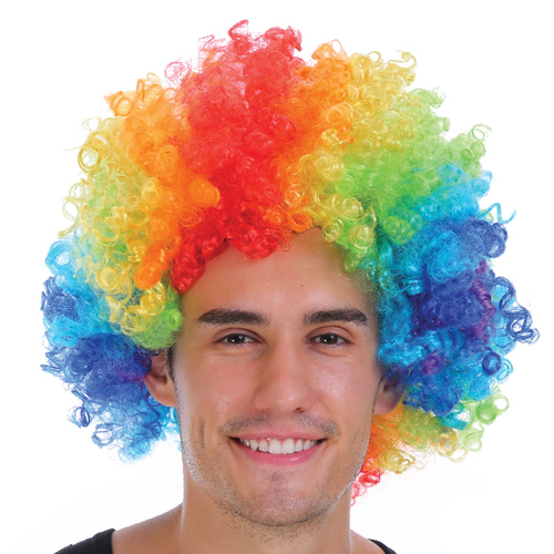 Mens DELUXE AFRO WIG Curly Hair Costume Party LGBTQ Disco 70s 80s Pride - Rainbow