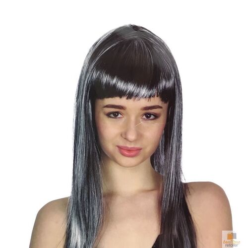 LONG WIG Straight Party Hair Costume Fringe Cosplay Fancy Dress 70cm Womens - Grey (22467)