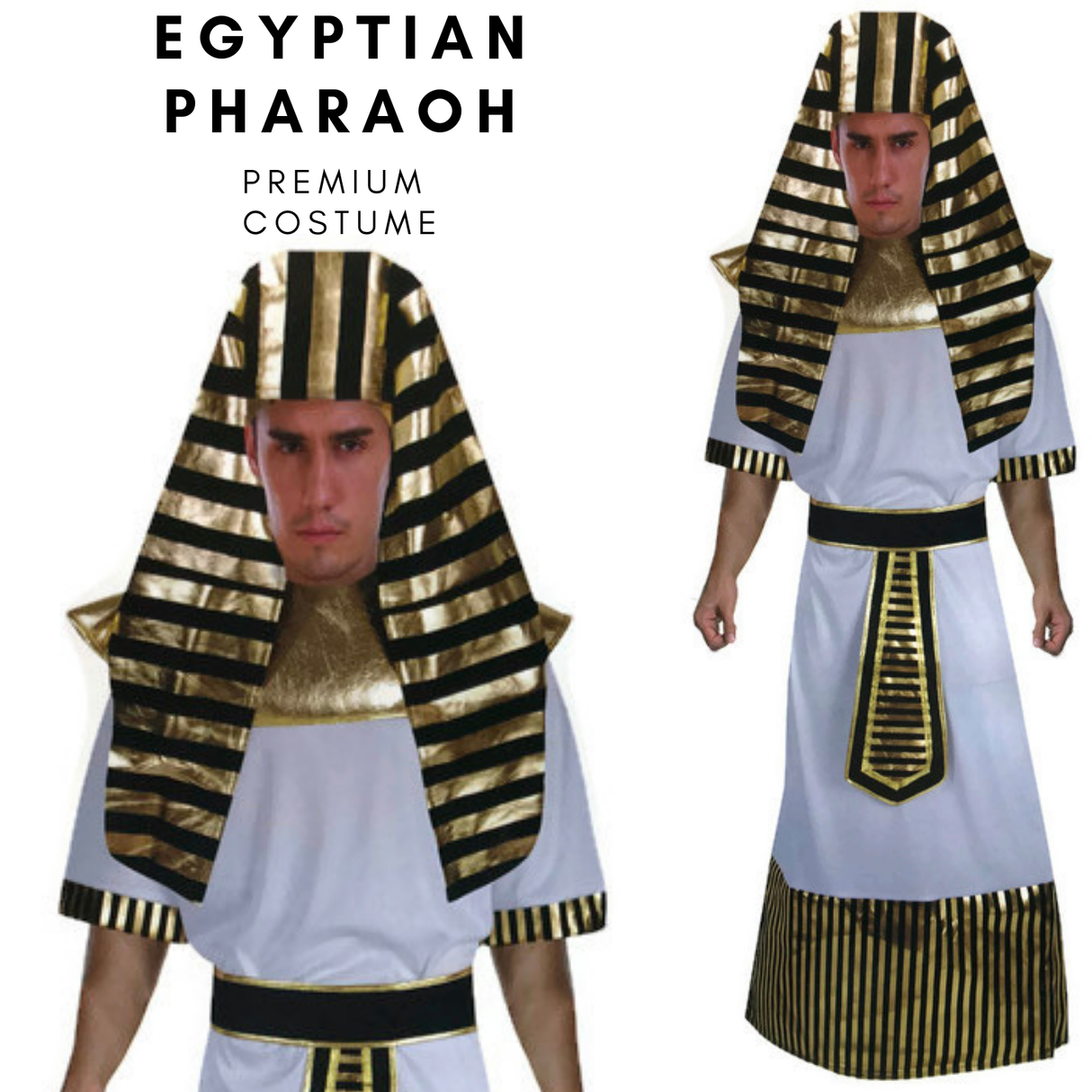 Mens EGYPTIAN KING Pharaoh Costume Cosplay Halloween Pharoah Ruler