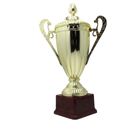 Large Classic Gold Trophy Cup Novelty Winners Prize Solid Achievement Award