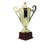 Large Classic Gold Trophy Cup Novelty Winners Prize Solid Achievement Award