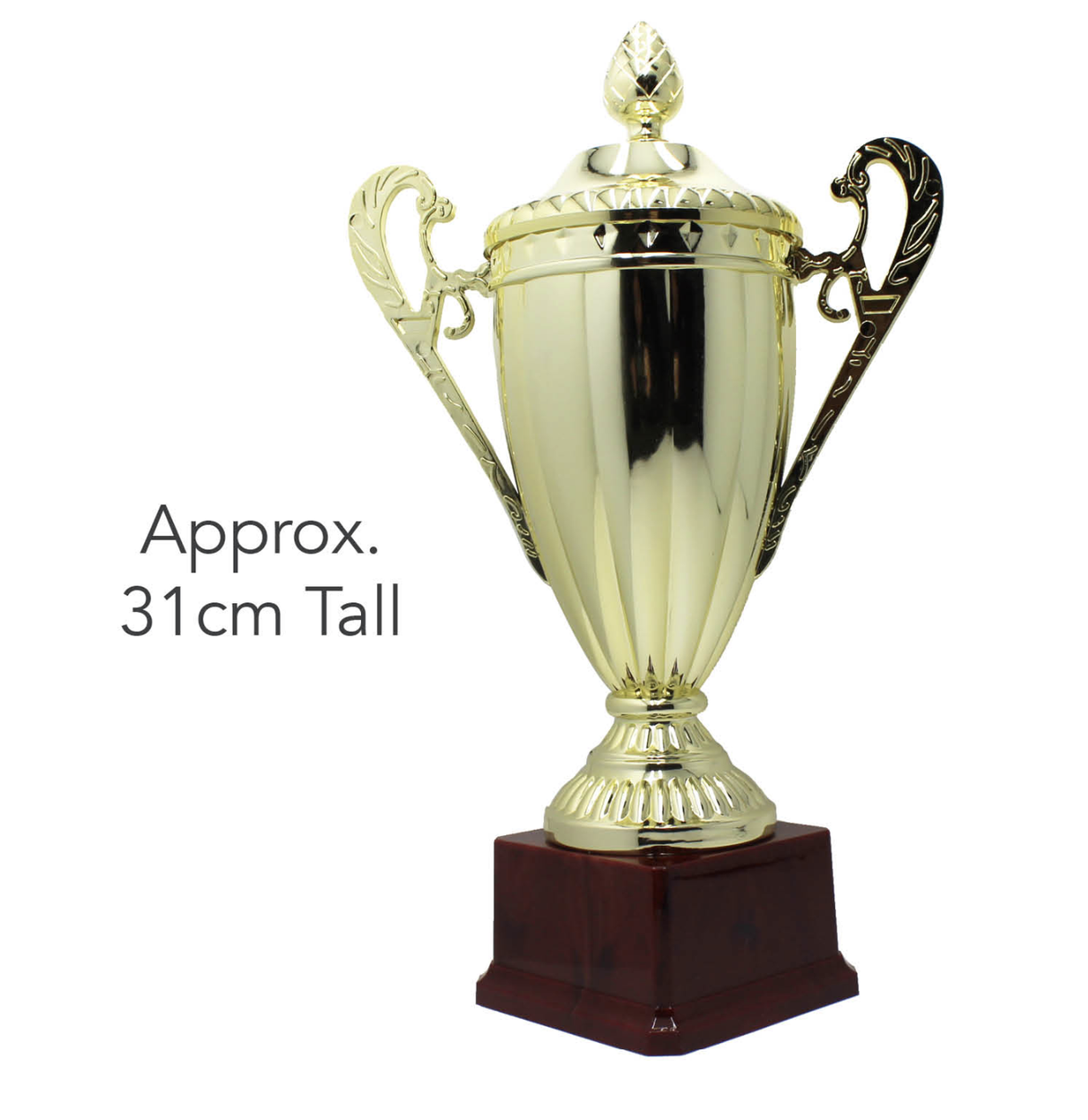 Large Classic Gold Trophy Cup Novelty Winners Prize Solid Achievement Award