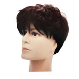 MENS WIG 80s Fancy Dress Mens Party Costume Rock Bogan Punk 70s 90s - Brown