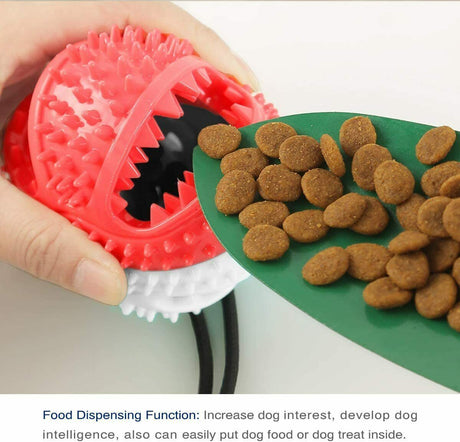 Dog Toy Suction Cup Self-Playing Rubber Ball Chew Food Dispensing Toothbrush