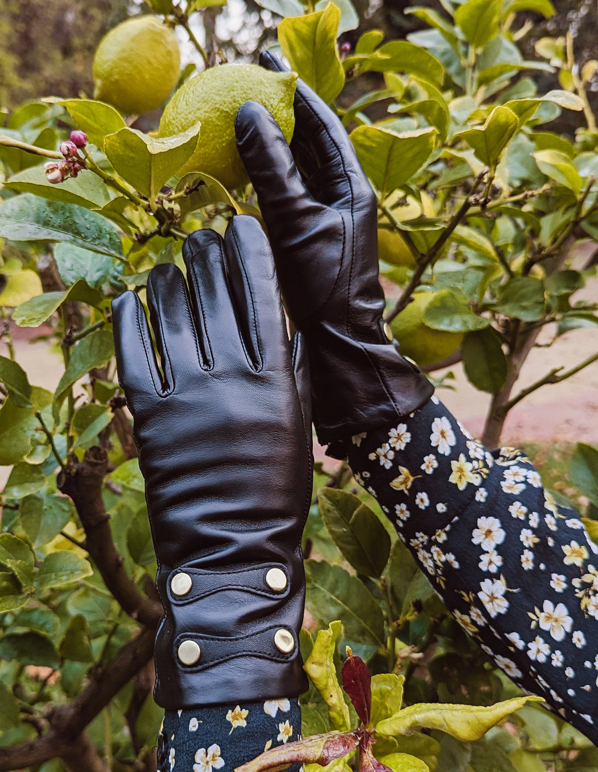 Dents Womens Leather Gloves with Gold Buttons - Black