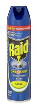 Raid One Shot 320g Flying Insect Killer Fly Spray - Citrus