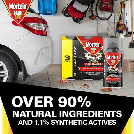 Mortein Powergard Indoor Pest Control Spray, 90% Natural, 9-Month Protection, 450g Total (3x150g)