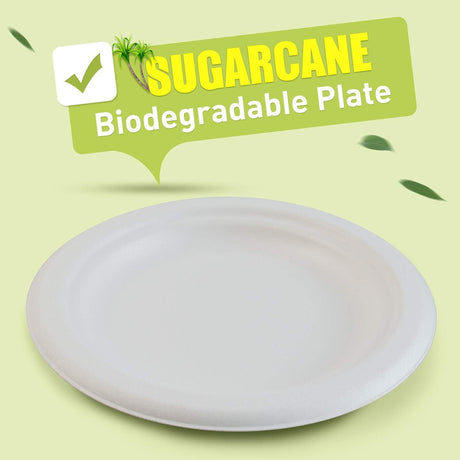 384pcs Disposable Sugarcane Bagasse Round Plates - 18cm - Bulk