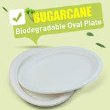 600pcs Disposable Sugarcane Bagasse Oval Plates - 26cm x 20cm - Bulk