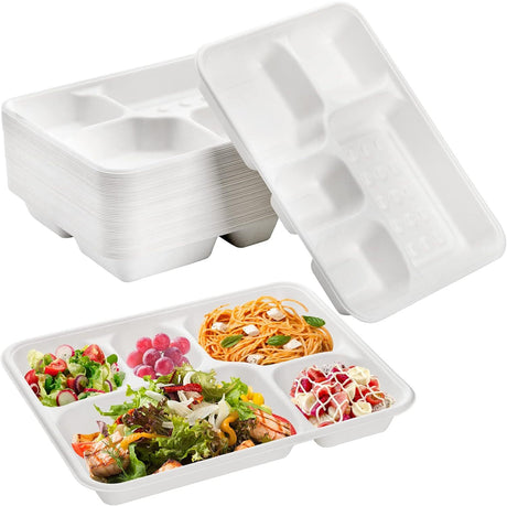 240pcs Sugarcane Bagasse 5 Compartment Lunch Paper Tray Plates 28x22cm Bulk