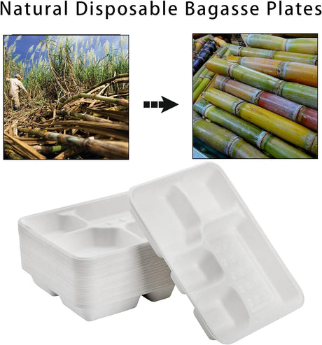 240pcs Sugarcane Bagasse 5 Compartment Lunch Paper Tray Plates 28x22cm Bulk