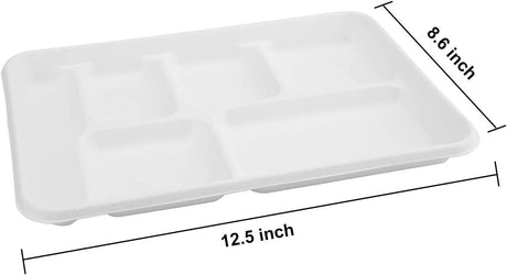 240pcs Sugarcane Bagasse 6 Compartment Lunch Paper Tray Plates 32x22cm (12.5" x 8.6") Bulk