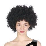 Mens DELUXE AFRO WIG Curly Hair Costume Party Fancy Disco 70s 80s Dress Up - Black