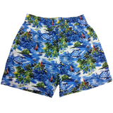 BR-HAWSHORT-BLUISLAND-L