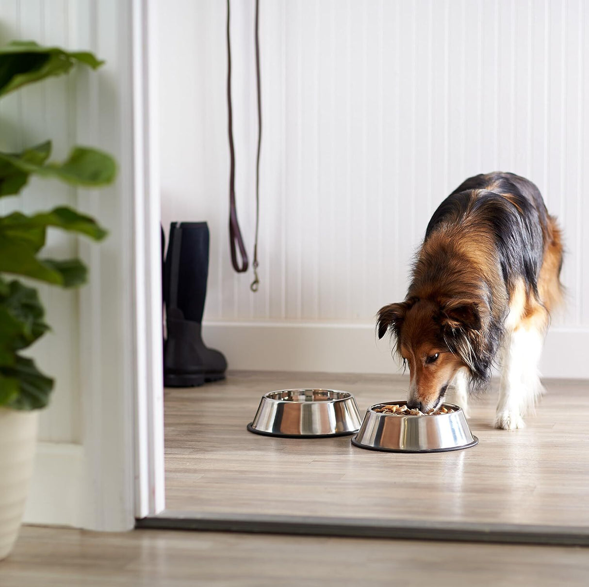 Non Slip Stainless Steel Dog Bowl Pet Cat Water Food Feeder Portable Puppy Dish