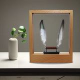 Slow Motion Picture LED Frame Optical Illusion Sculpture Feather Home Decor