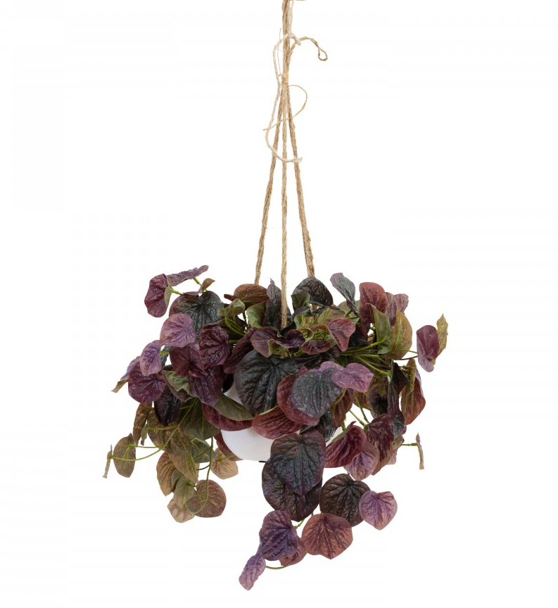 72cm Peperomia Caperata in Hanging Planter (with Rope) Artificial Flower Plant Fake