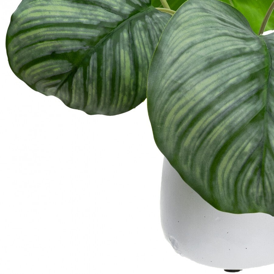 30cm Faux Calathea Bush in Ceramic Pot Artificial Plant Tabletop Flower Décor