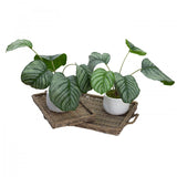 30cm Faux Calathea Bush in Ceramic Pot Artificial Plant Tabletop Flower Décor