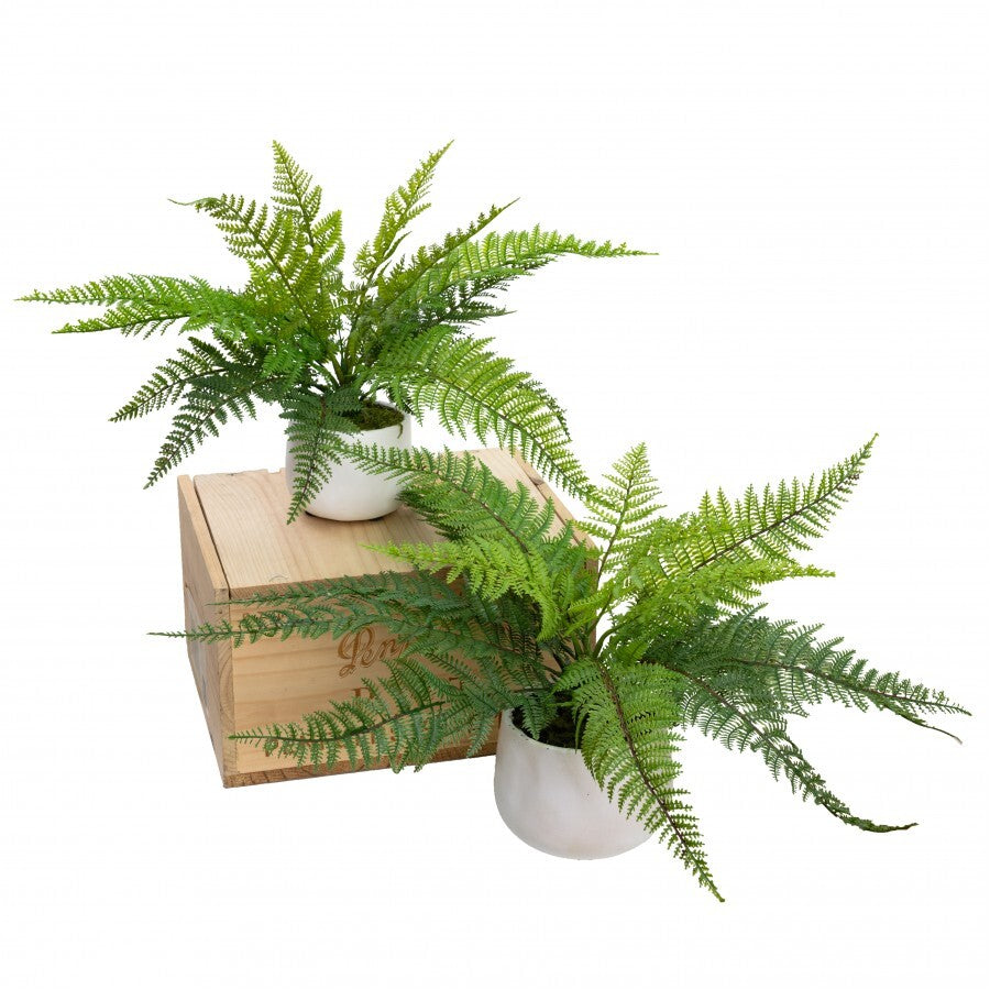 Set of 2 Leather Fern in Pot Potted Artificial Flower Green Plant