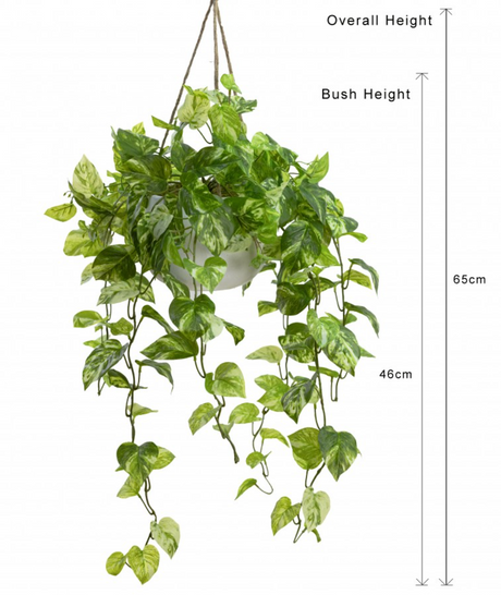 104cm Faux Marble Pothos Bush in Hanging Planter Tabletop and/or Hanging Display