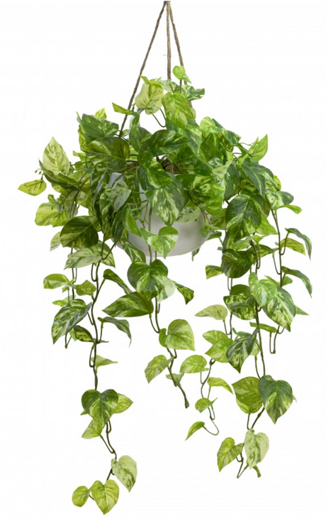 104cm Faux Marble Pothos Bush in Hanging Planter Tabletop and/or Hanging Display