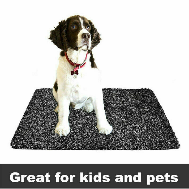 Super Absorbent Doormat Clean Step Mat Microfibre Non-Slip Absorbs Mud Water Pet