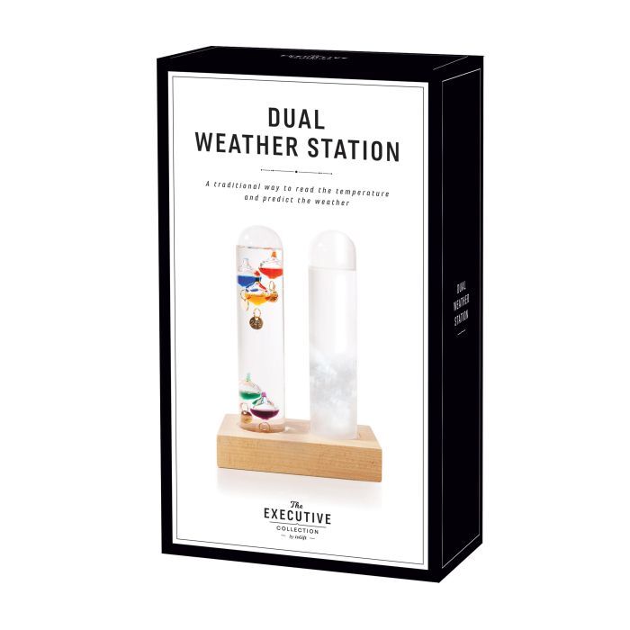 The Executive Collection Dual Weather Station Clear