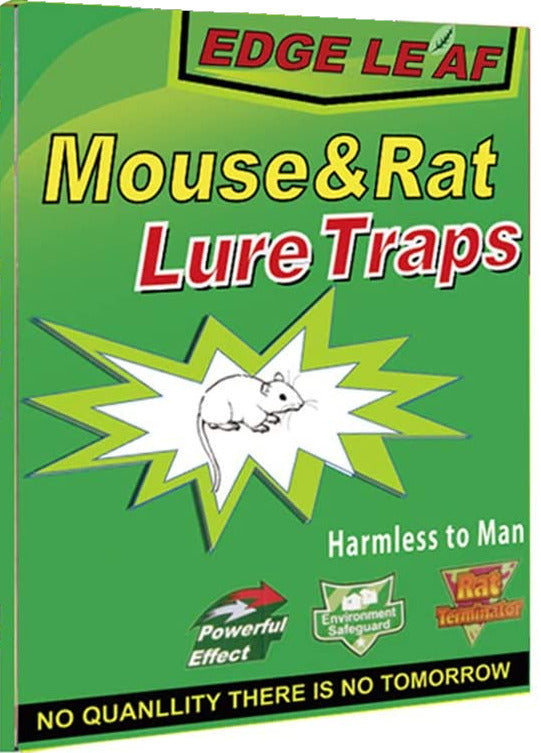 1x Rat Mice Mouse Rodent Bug Cockroach Snare Glue Catcher Sticky Board