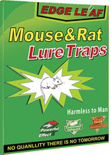 1x Rat Mice Mouse Rodent Bug Cockroach Snare Glue Catcher Sticky Board