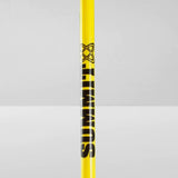 10x Agility Slalom Training Poles with Spike Base