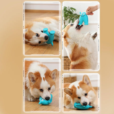 Dog Toothbrush Puppy Teeth Cleaner Squeaky Chew Toy in Blue