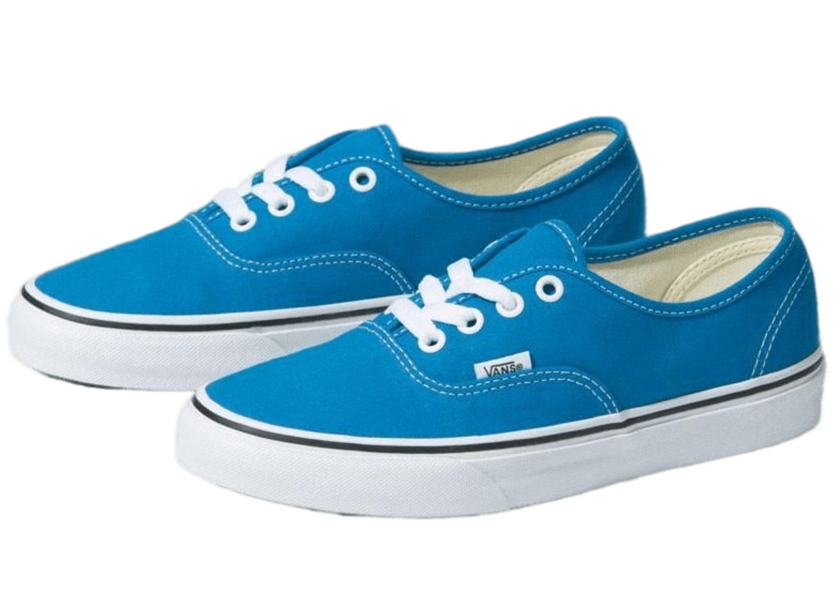 Vans Mens Authentic Canvas Shoes Sneakers Classic Skateboard Casual - Blue